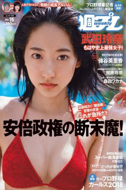 夏天的味道电视剧
